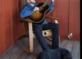 Josh Yenne performs Saturday, Nov. 15 at Gehrike Tasting Room in Sonoma.. (Meghan Rand)