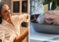 Meghan Markle attempts to crack ‘mum joke’ ahead of Thanksgiving | Royal | News