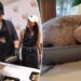 Meghan Markle called 'Salmonella Sussex' over Thanksgiving turkey blunder