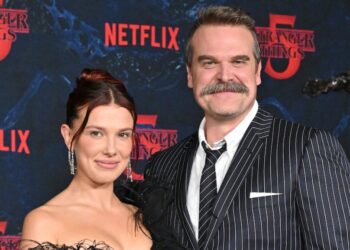 Millie Bobby Brown and David Harbour's Premiere Reunion Was Damage Control