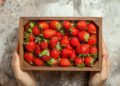 Mr Griff: Strawberry Preserve Fundraiser in Cambridge, UK – A Night of Funk, Soul, and Fusion Music Supporting Local Community Events: Here’s More New Information You Must Know