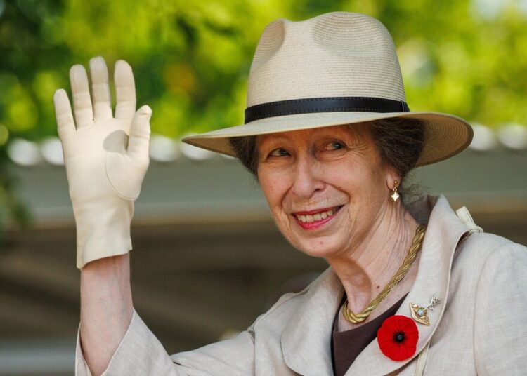 'No fuss' Princess Anne spotted carrying her own luggage off plane | Royal | News