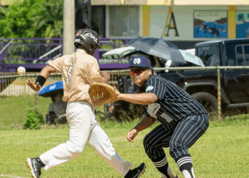 Notre Dame Royals continue unbeaten baseball campaign | Sports