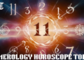 Daily Numerology Horoscope Today: Predictions for November 30, 2025(Freepik)
