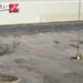 Old K-Mart site transforms with gym, café, entertainment hub :: WRAL.com