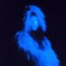 Stereogum home