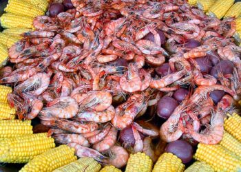 Paragon Festivals Presents The Englewood Seafood & Music Festival