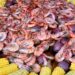 Paragon Festivals Presents The Englewood Seafood & Music Festival