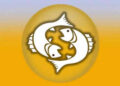 Pisces Weekly Shani Horoscope, November 24-30, 2025: Saturn asks for accountability, own your actions this week