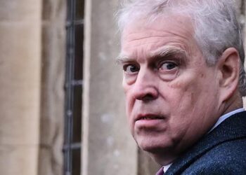 Porn, sex workers: Shock new Andrew claims rock the palace