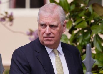 Prince Andrew Threw a Party With ‘Poppers, Lube,' Book Claims (Excl)