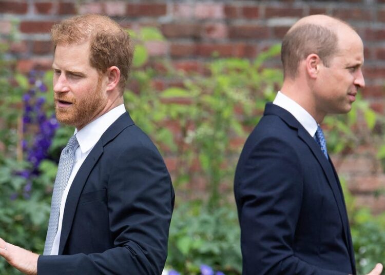 Prince Harry Denies Upstaging Prince William With Canada Trip