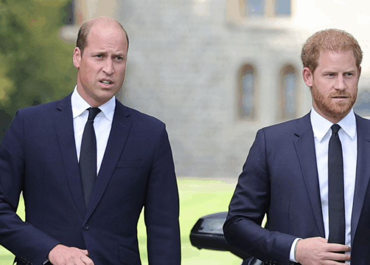 Prince Harry Issues Curt Response To Claim He’s ‘Upstaging’ William