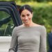Prince Harry & Meghan Markle Snubbed In Royal Xmas Collection