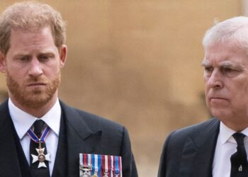 Prince Harry and Andrew's embarrassment with Remembrance Day wreath | Royal | News