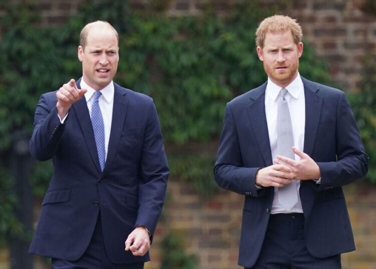 Prince Harry has 'divided everyone' with 'unavoidable' clash - Celebrity News - Entertainment