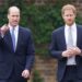 Prince Harry has 'divided everyone' with 'unavoidable' clash - Celebrity News - Entertainment