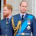 The royal brothers, pictured in 2018, have a long-reported rift which shows no sign of abating, but the Duke's spokesperson insisted the visit had been almost a year in the making