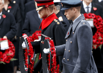 Prince Harry's Remembrance Sunday Request 'Denied' By Royal Family — Source