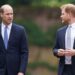 Prince Harry's Team Denies Taking a Shot at William With Canada Trip