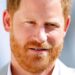 Prince Harry's feelings exposed as Meghan returns to acting - Celebrity News - Entertainment