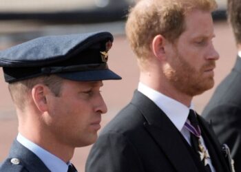 Prince Harry's latest move shows one thing about bond with William | Royal | News
