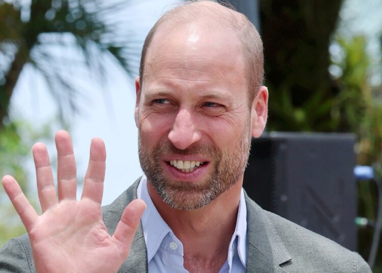 Prince William Photographed on Copacabana Beach Sans Kate