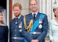 Prince William Saw Through Meghan Markle's Royal Plans — Expert