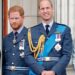 Prince William Saw Through Meghan Markle's Royal Plans — Expert