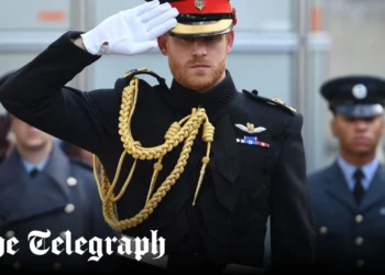 Prince William appears on Sugarloaf Mountain but Harry steals the headlines