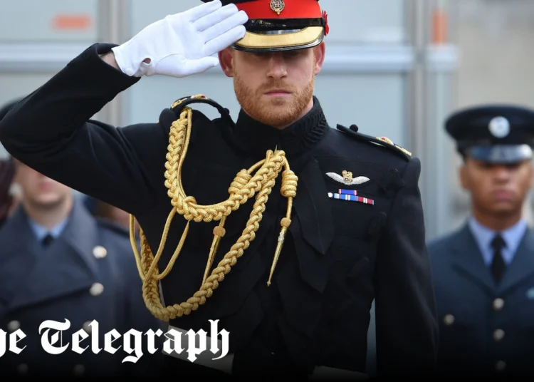 Prince William appears on Sugarloaf Mountain but Harry steals the headlines