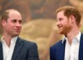 Prince Williams childhood dream, stark contrast to Prince Harry revealed