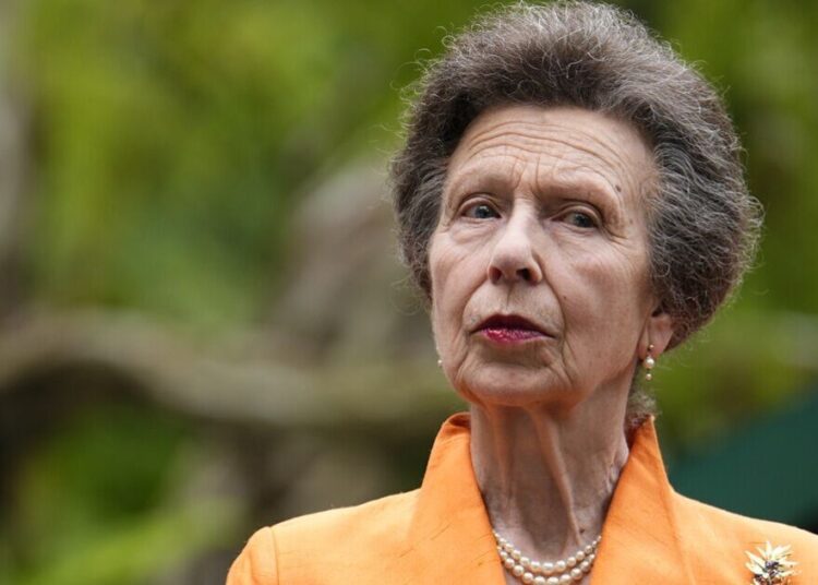 Princess Anne dubbed the ‘ultimate Andrew antidote’ | Royal | News