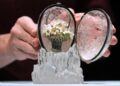 The Winter Egg was a lavish Easter gift for his mother, Dowager Empress Maria Feodorovna