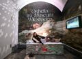 Yahoo entertainment home