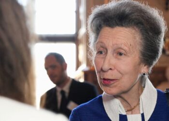 Real reason Princess Anne isn't at Remembrance Sunday service | Royal | News
