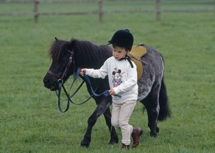 A young Prince William and his Shetland pony