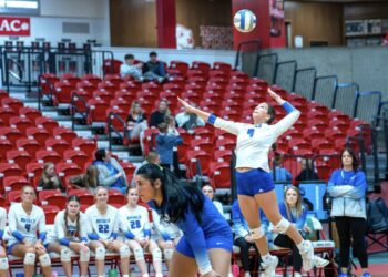 Royals secure first volleyball Region 3A title | News, Sports, Jobs