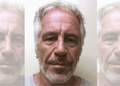 Royals to Republicans—Epstein files have exposed fault lines across power circles