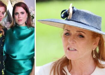 Sarah Ferguson defiant she’s ‘blameless’ in Epstein scandal | Royal | News