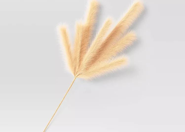 Pampas Artificial Branch - Thresholdu0026#8482;