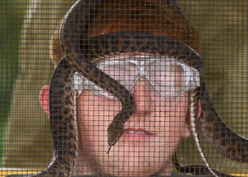 Angry Ginge takes on a snake in the launch episode