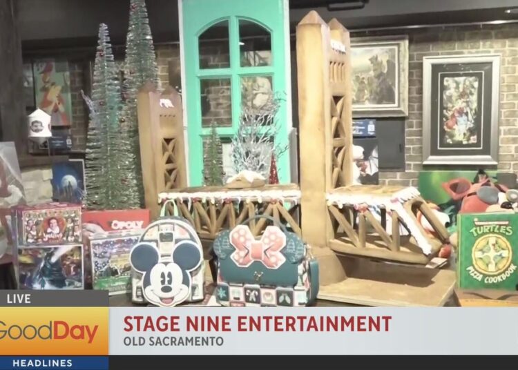 Stage Nine Entertainment, 9am - Good Day Sacramento