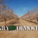 dailydemocrat default image