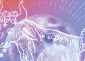 The 3 Zodiac Signs Getting Permission to Indulge With the Taurus Full Moon