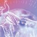The 3 Zodiac Signs Getting Permission to Indulge With the Taurus Full Moon