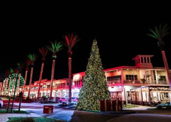 The Wharf Plans Festive Events With Lights Music and Family Fun