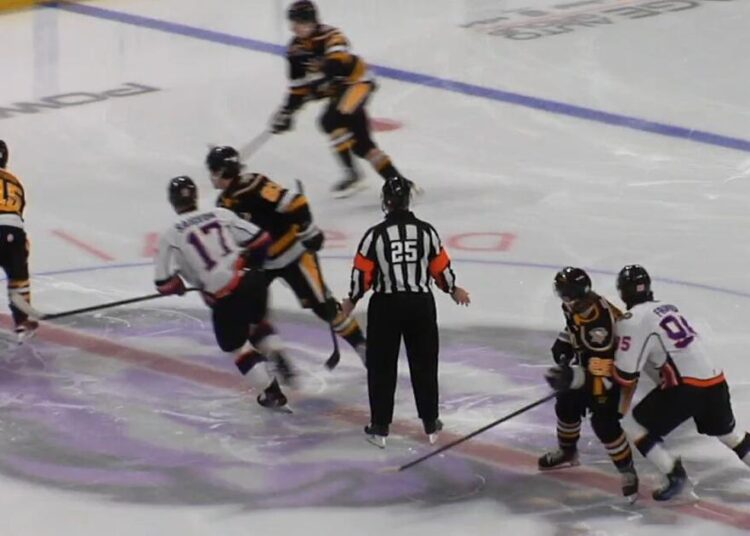 The Wheeling Nailers defeat the Reading Royals in their Education game | Sports
