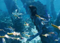 Kiri swimming underwater in Avatar: The Way of Water