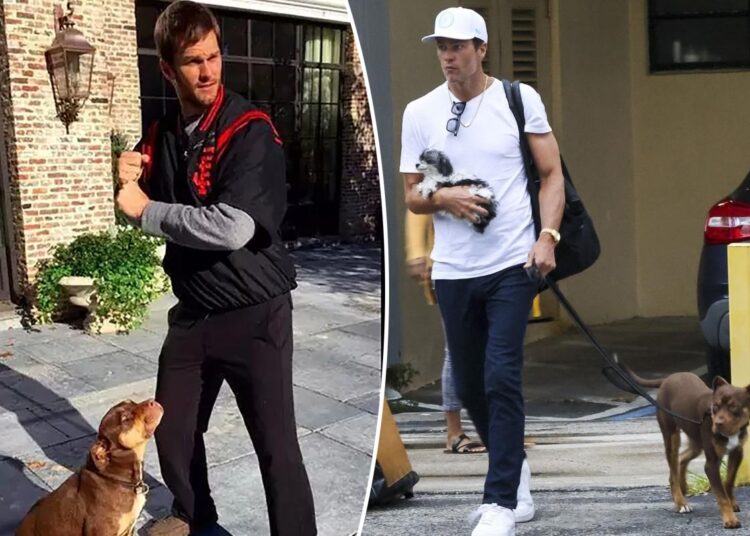 Tom Brady admits dog Junie is a clone of 'beloved' late pet Lua